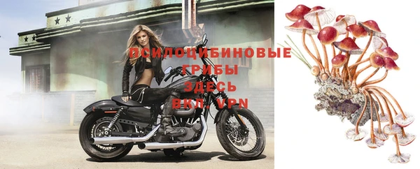 ГАЛЛЮЦИНОГЕННЫЕ ГРИБЫ Волоколамск